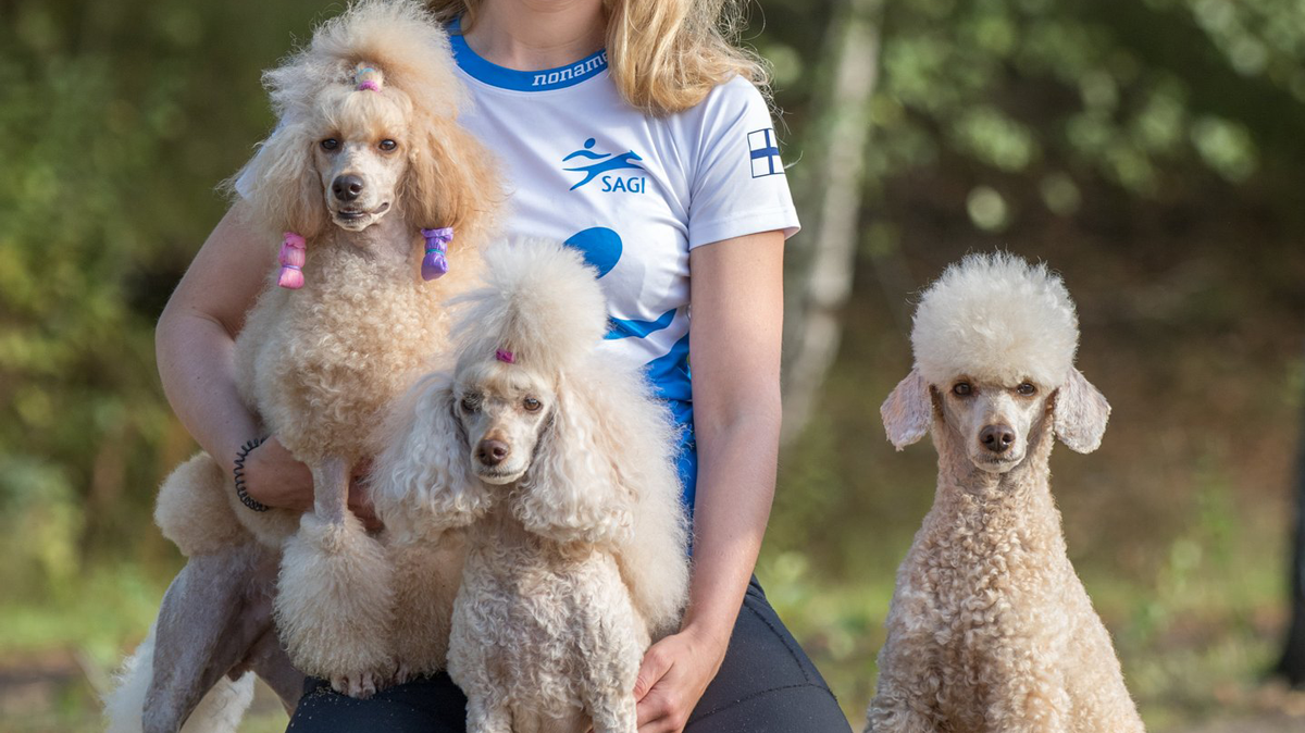 Agility ja ohjaajan fysiikka