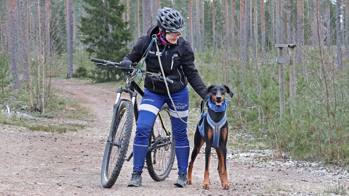 Koirapyöräilyn 6 vinkkiä