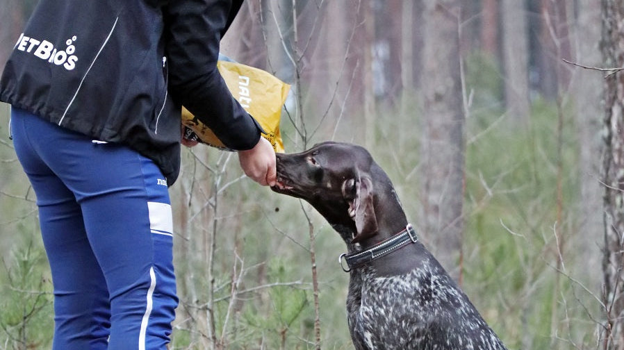 Naturea Naturals urheilukoirien ruokinnassa