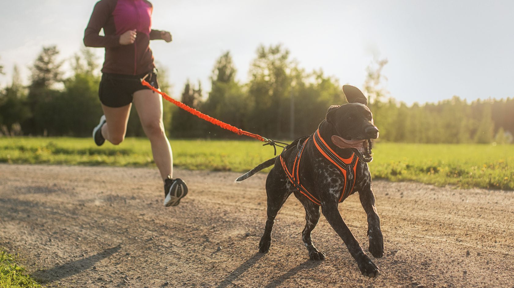 Canicross eli koirajuoksu