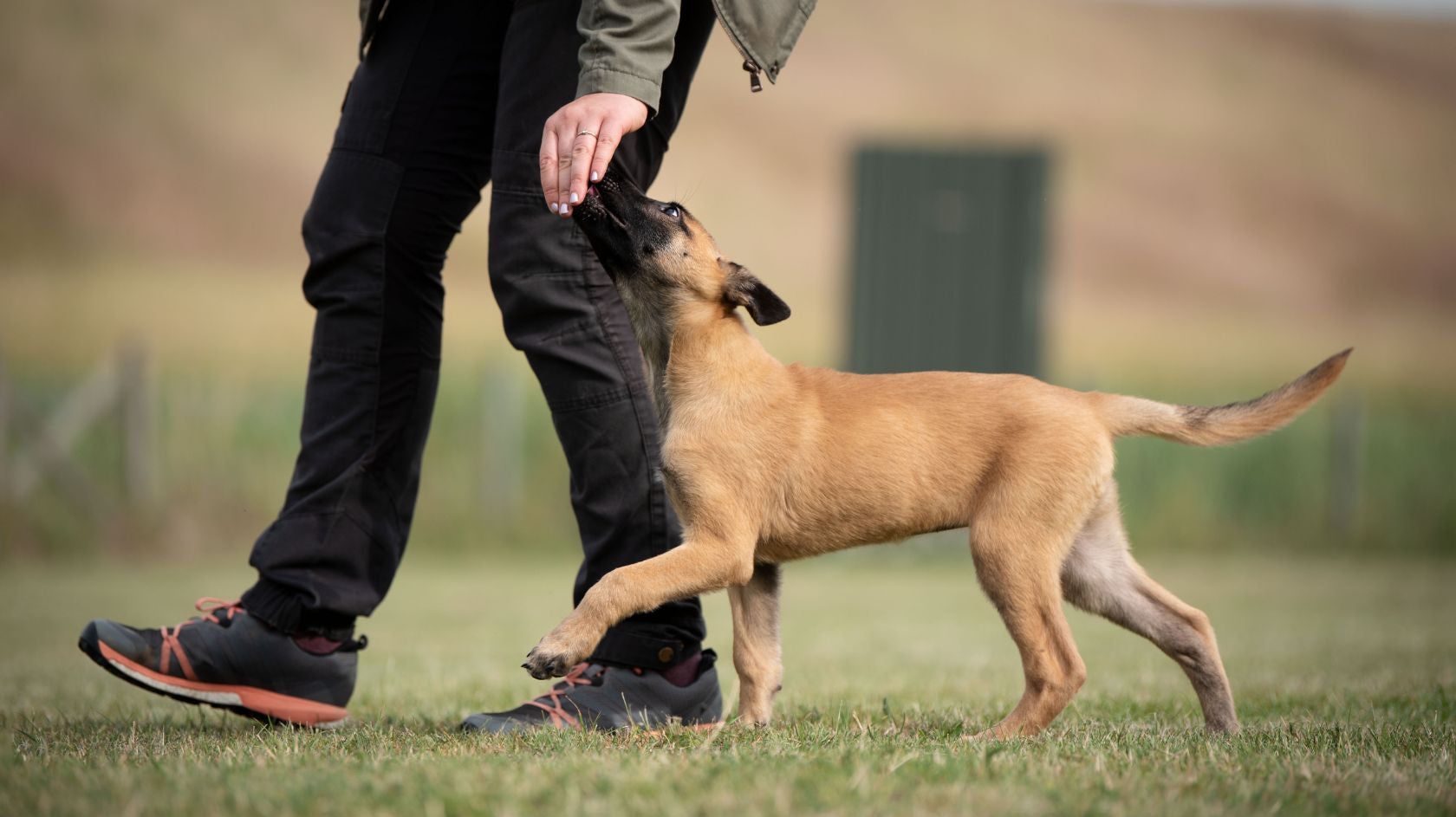 Vinkit onnistuneeseen treeniin