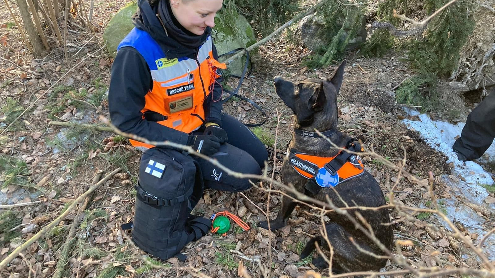 Pennusta pelastuskoiraksi osa 1