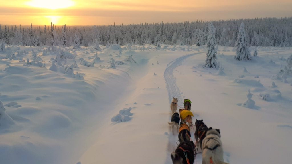 Valjakkourheilu - Mari Anttila