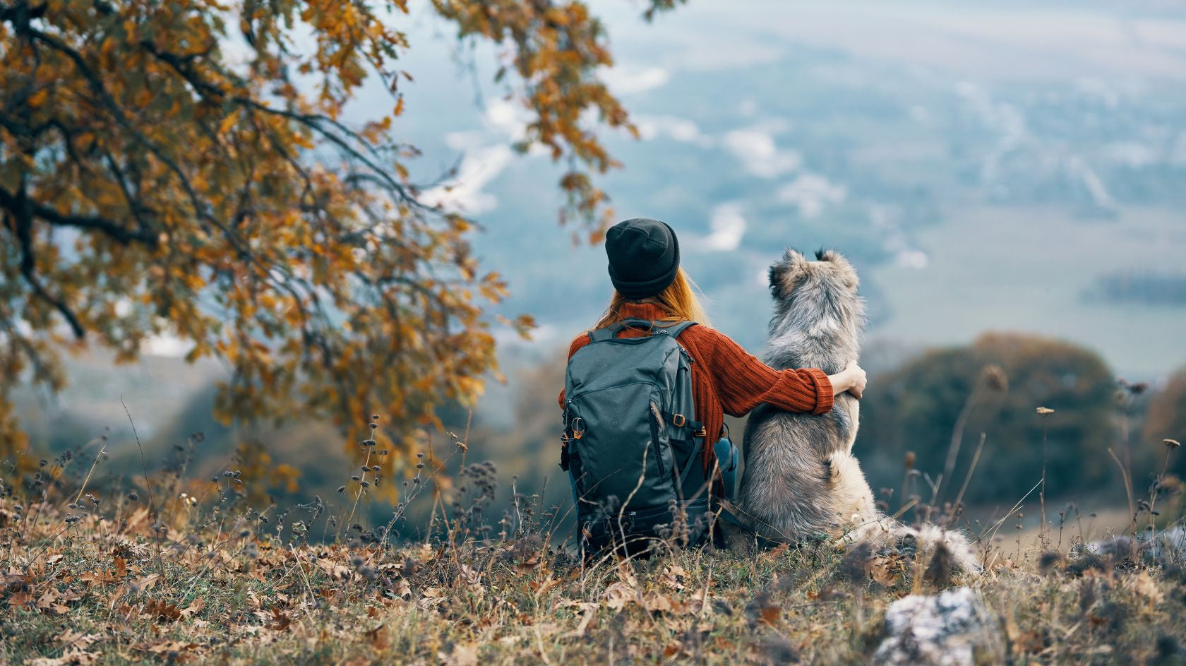 Retkeily ja vaellus koiran kanssa