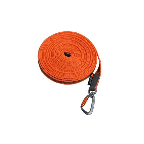 Koulutusliinat ja -taluttimet