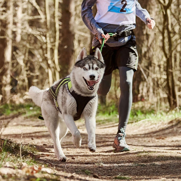 Valjakkourheilutarvikkeet