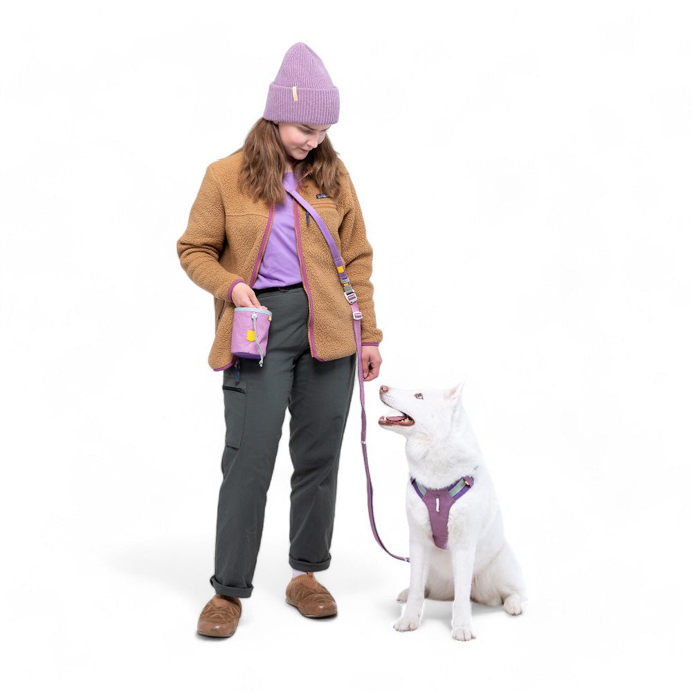 Woolly Wolf Alpha 360 koiran valjaat, Mauve Mix
