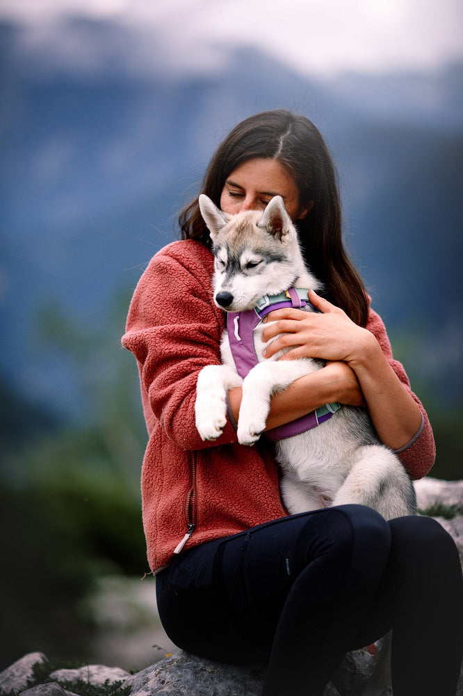 Woolly Wolf Alpha 360 koiran valjaat, Mauve Mix