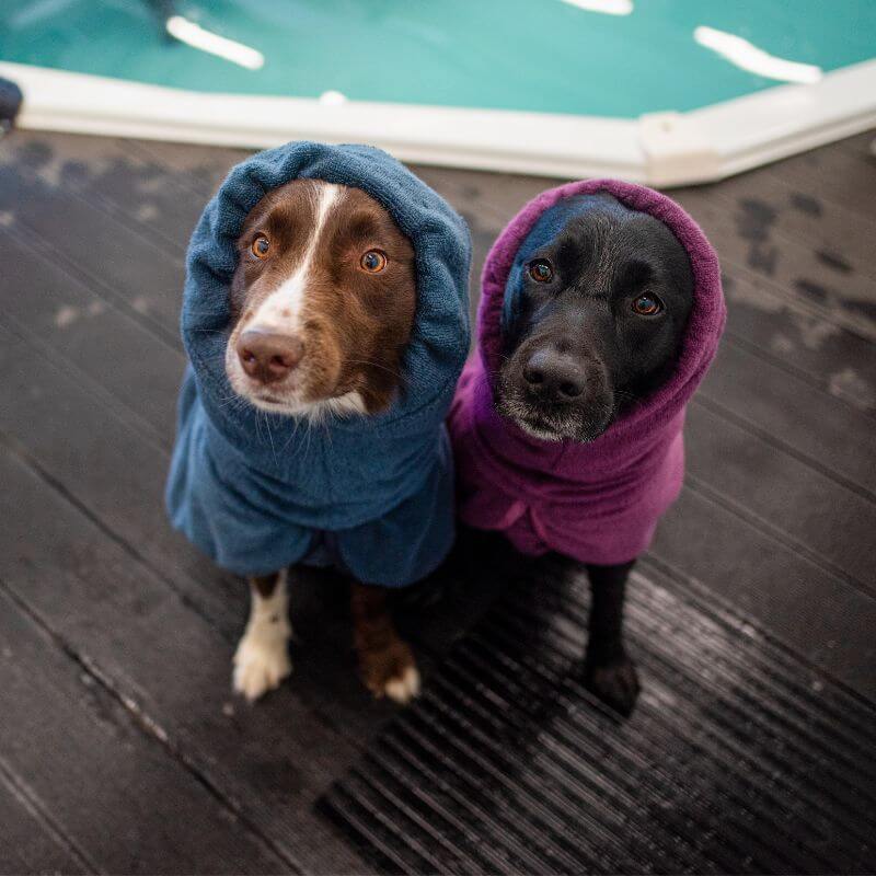 BathPomppa koiran kylpytakki, midnight