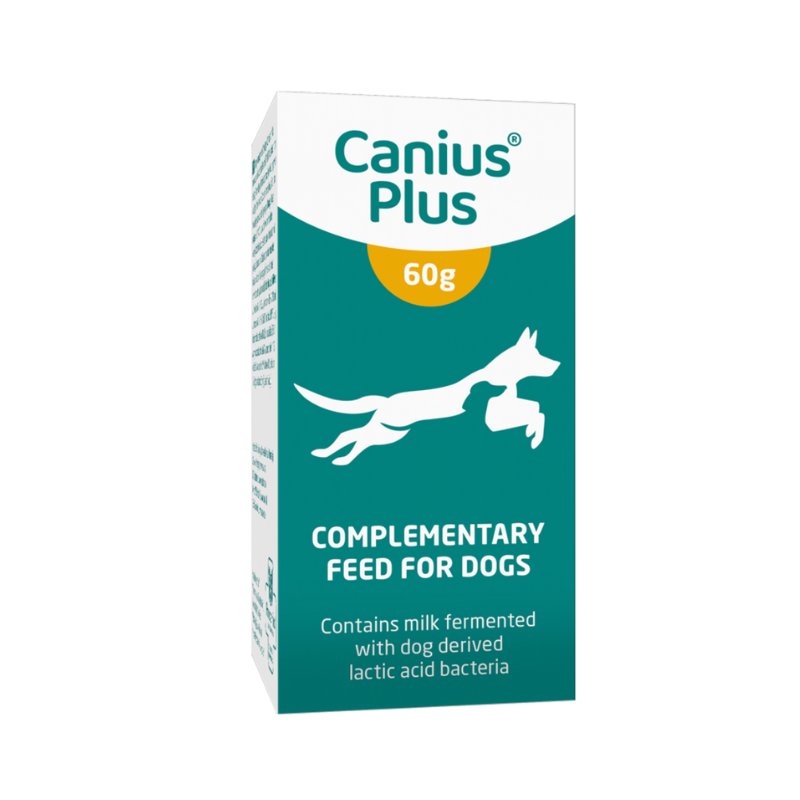 Canius Plus maitohappobakteerivalmiste koiralle