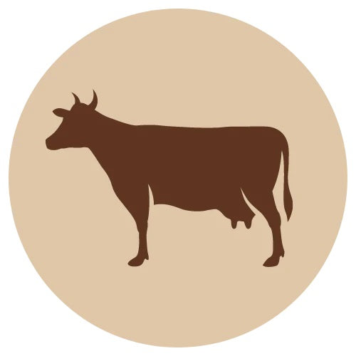 Fanimal Naudan munuainen 600 g