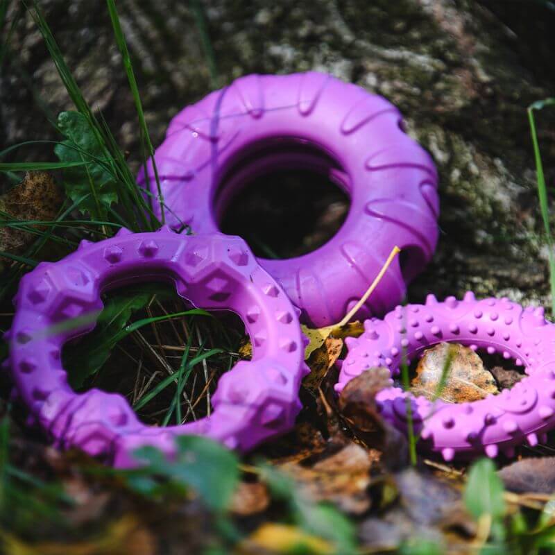 Freedog Rubber Snack vanne, violetti