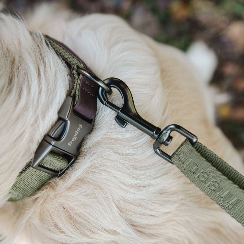 Freedog Linum Collar koiran kaulapanta, vihreä