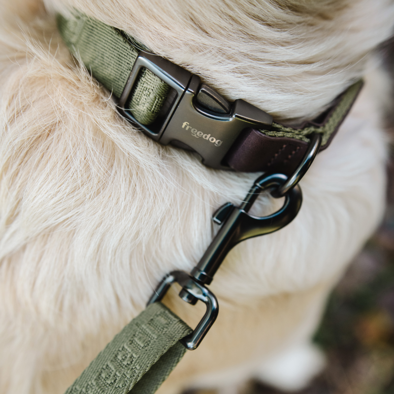Freedog Linum Collar koiran kaulapanta, vihreä