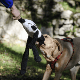 Freedog XL pehmolelu vingulla, panda