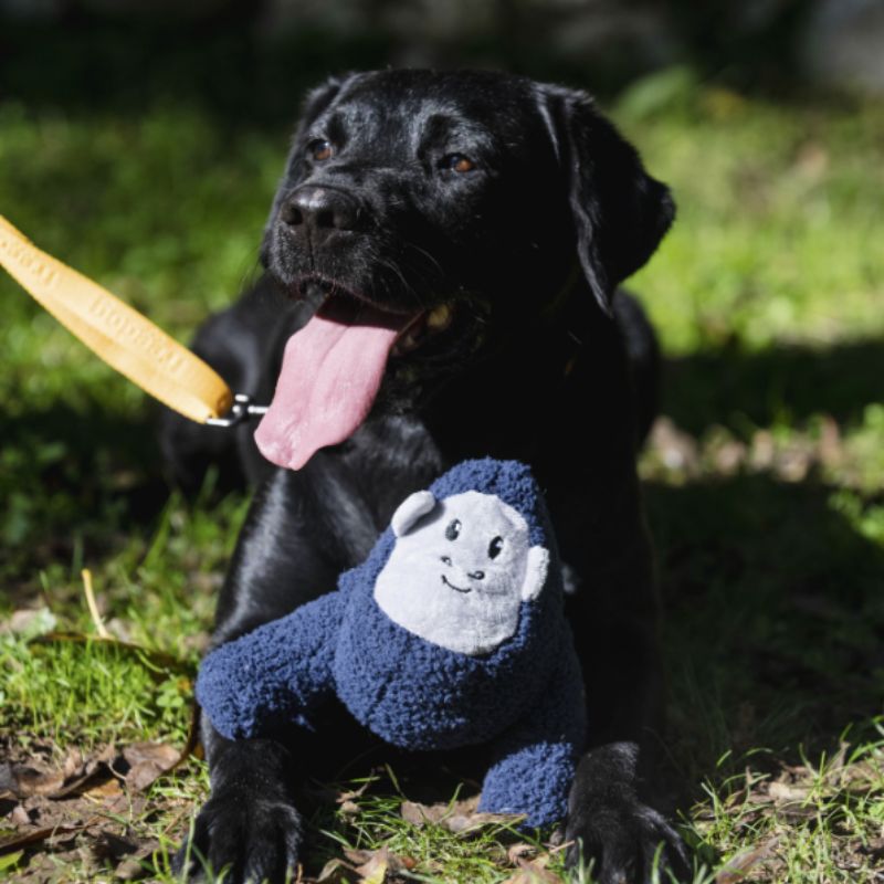 Freedog Tough gorilla pehmolelu