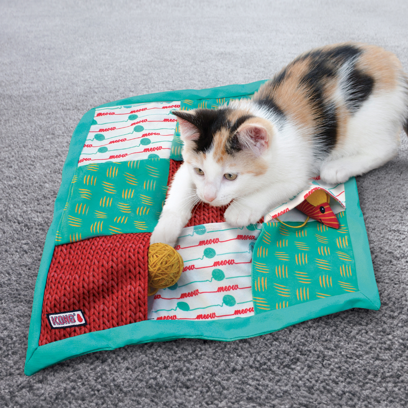 XX_Kong Cat Puzzlements Pockets matto