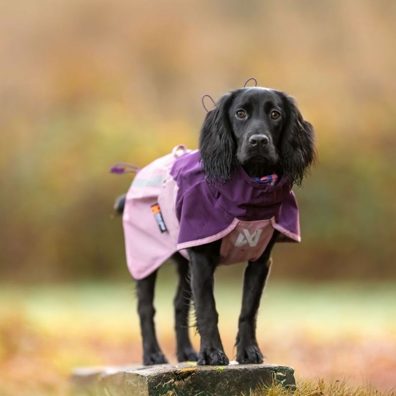Non-stop dogwear Fjord 2.0 koiran sadetakki 2.0 mauve