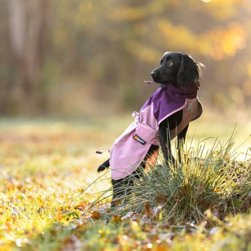 Non-stop dogwear Fjord 2.0 koiran sadetakki 2.0 mauve