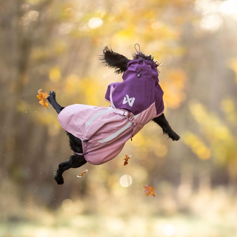 Non-stop dogwear Fjord 2.0 koiran sadetakki 2.0 mauve