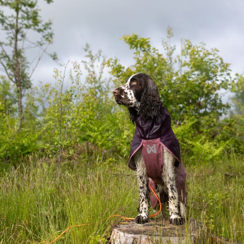 Non-stop dogwear Fjord 2.0 koiran sadetakki 2.0 mauve