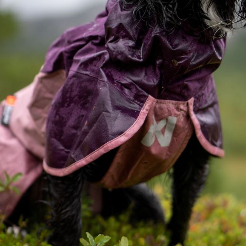 Non-stop dogwear Fjord 2.0 koiran sadetakki 2.0 mauve