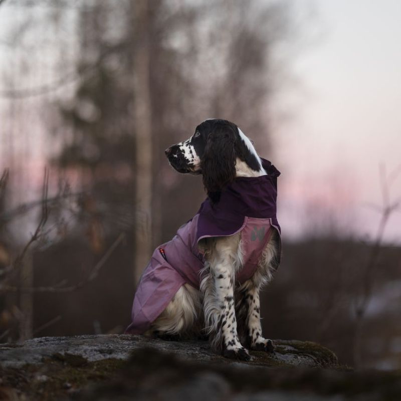 Non-stop dogwear Fjord 2.0 koiran sadetakki 2.0 mauve