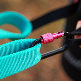 Non-stop dogwear Bungee leash joustotalutin, aqua