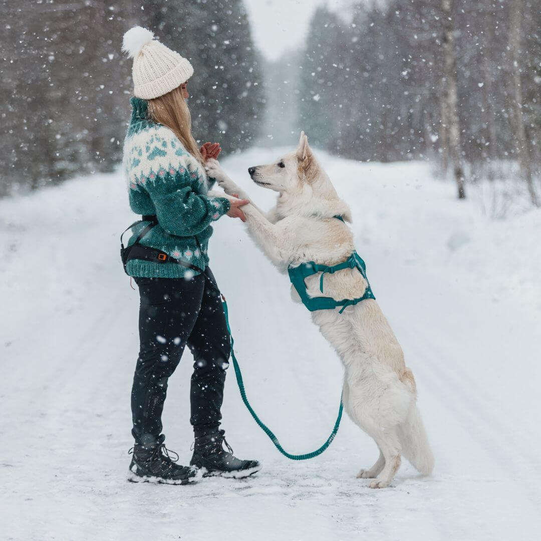 Non-stop dogwear Ramble long koiran valjaat, petrooli