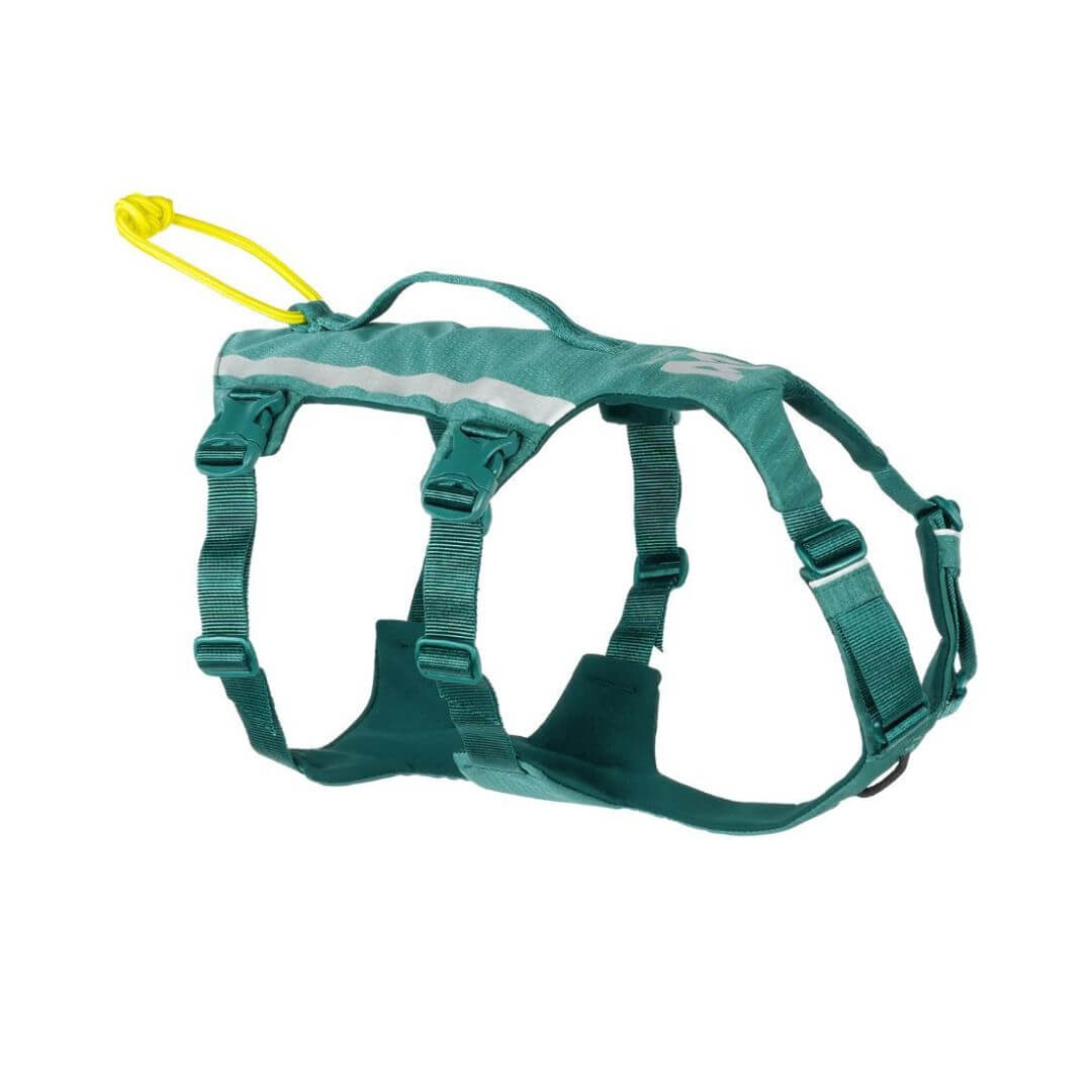 Non-stop dogwear Ramble long koiran valjaat, petrooli