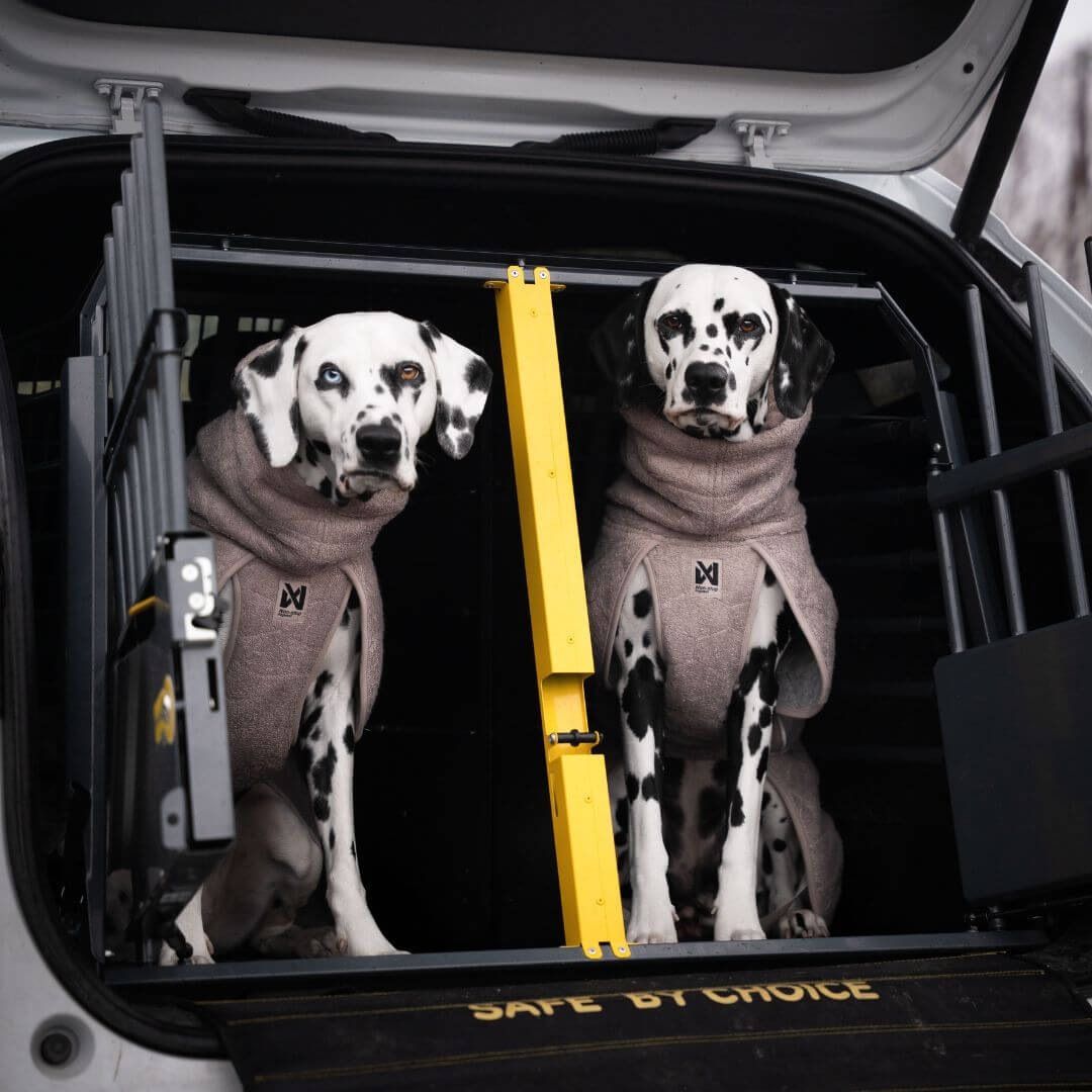 Non-stop dogwear Drying coat, sand