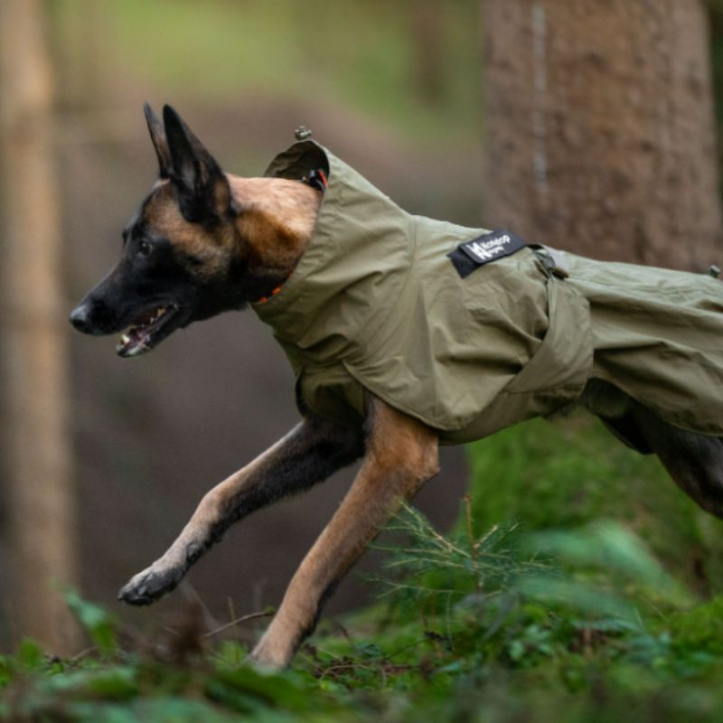 Non-stop dogwear Fjord WD koiran sadetakki, oliivi