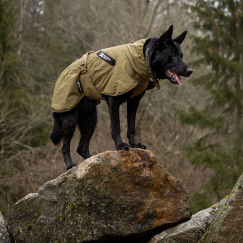 Non-stop dogwear Fjord WD koiran sadetakki, oliivi
