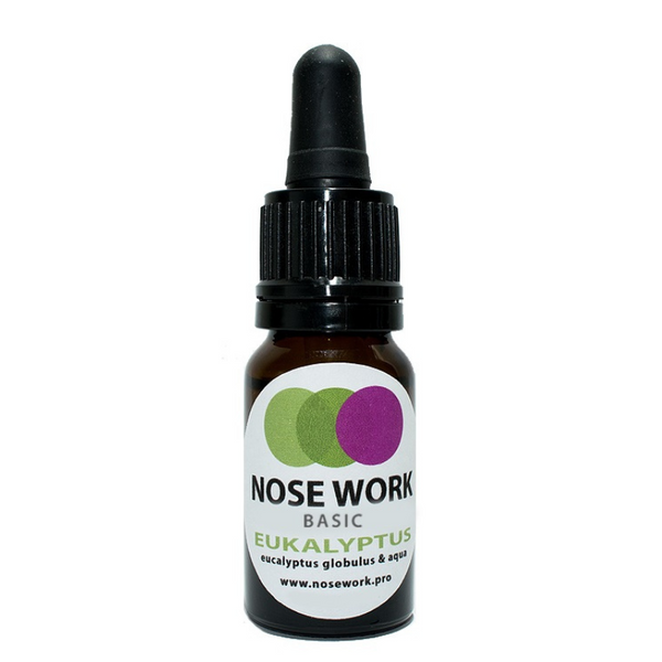 Harrastukset ja koulutus