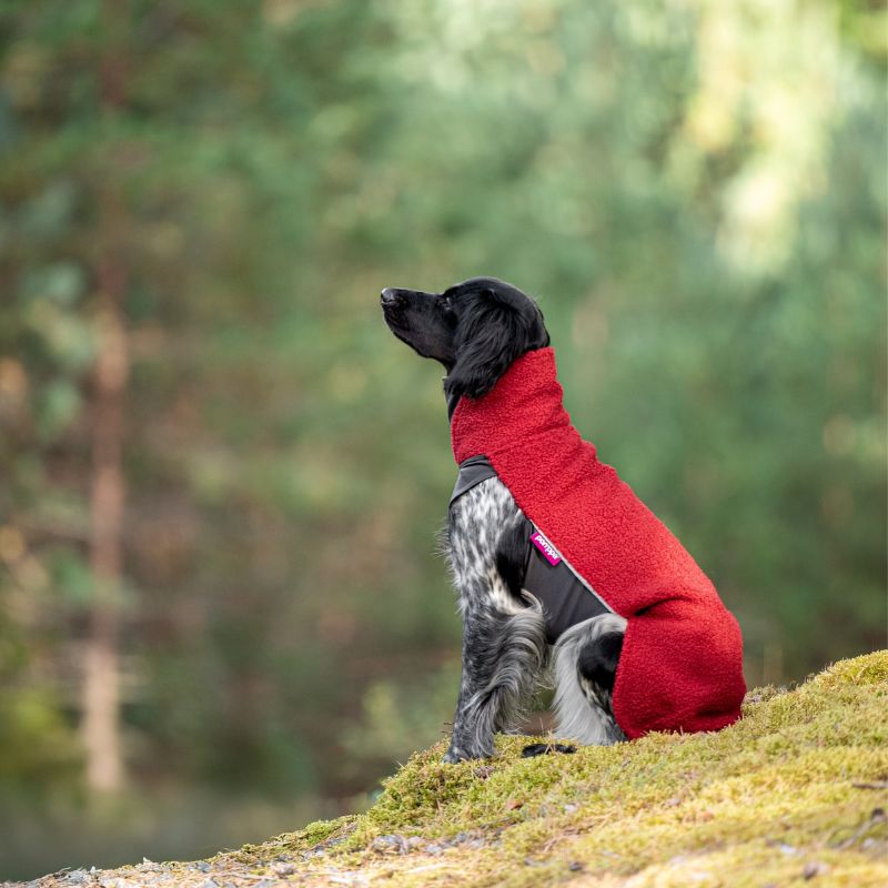 PolarPomppa Rowanberry