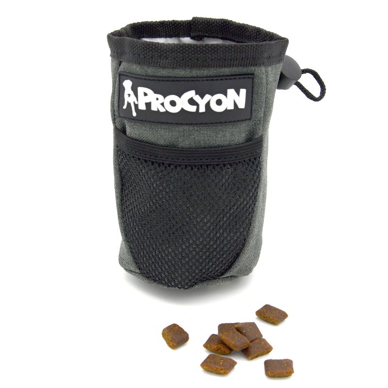 Procyon namipussi