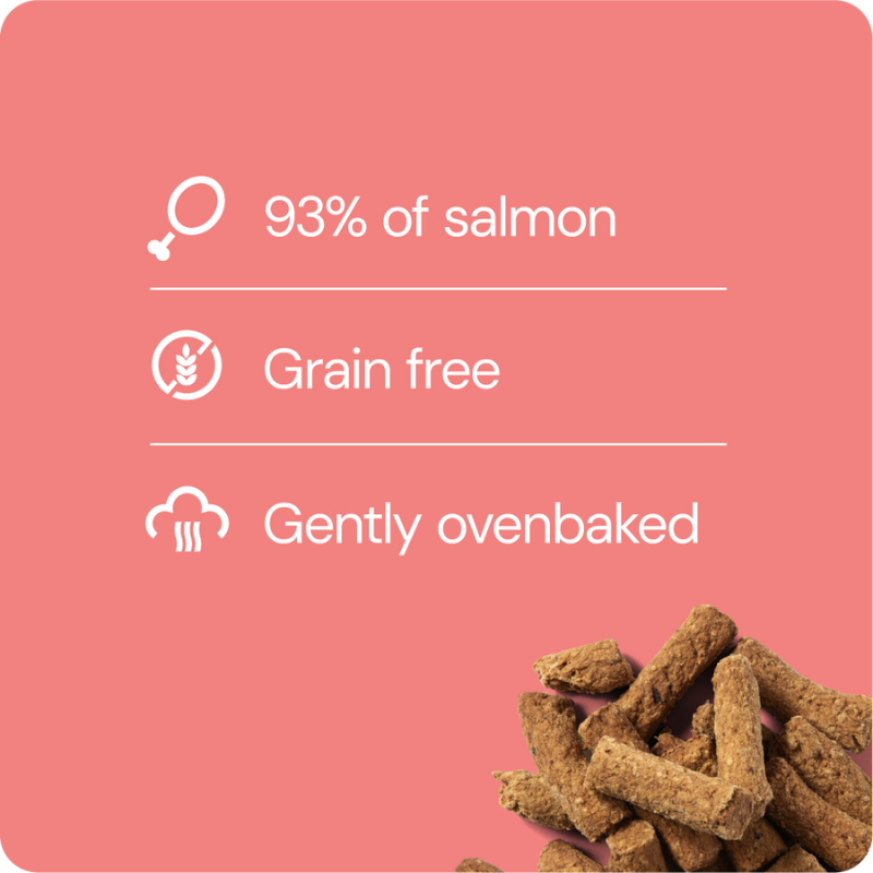 RAUH! Salmon Treat 100 g (Lohiherkku)
