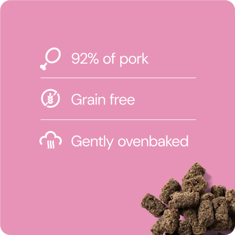 RAUH! Pork Treat 100 g (Possuherkku)