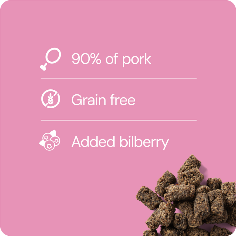 RAUH! Pork-Bilberry Treat possu-mustikkaherkku 100 g
