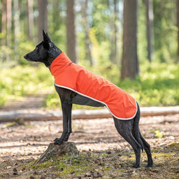 SporttiPomppa Habanero