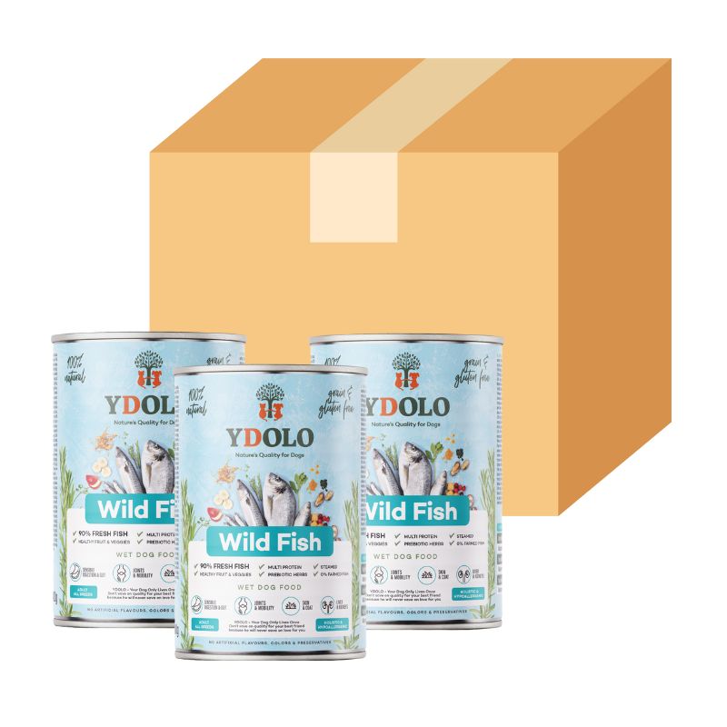 MÄÄRÄALE: YDOLO Healthy & Pure Wild Fish märkäruoka 6 x 400 g
