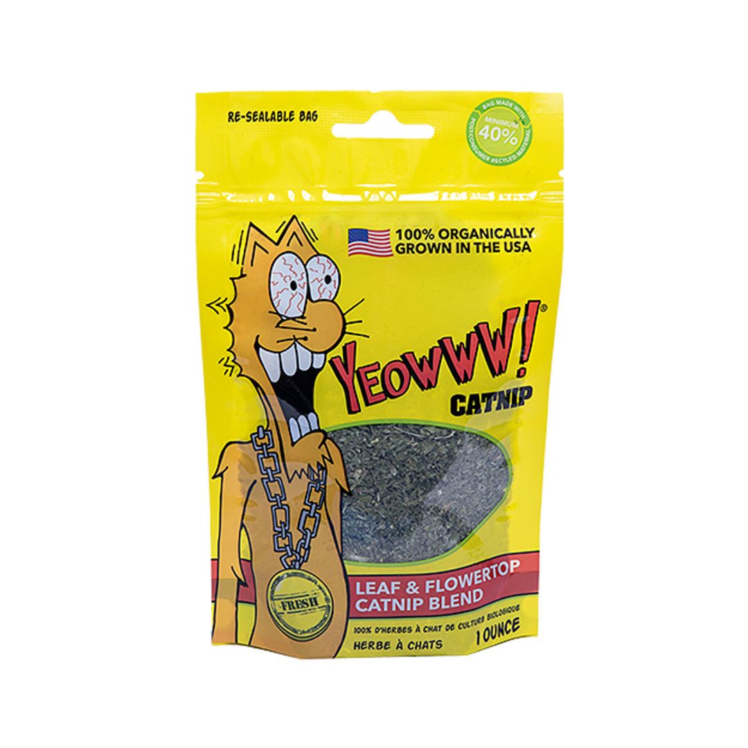 Yeowww! kissanminttupussi kissoille.