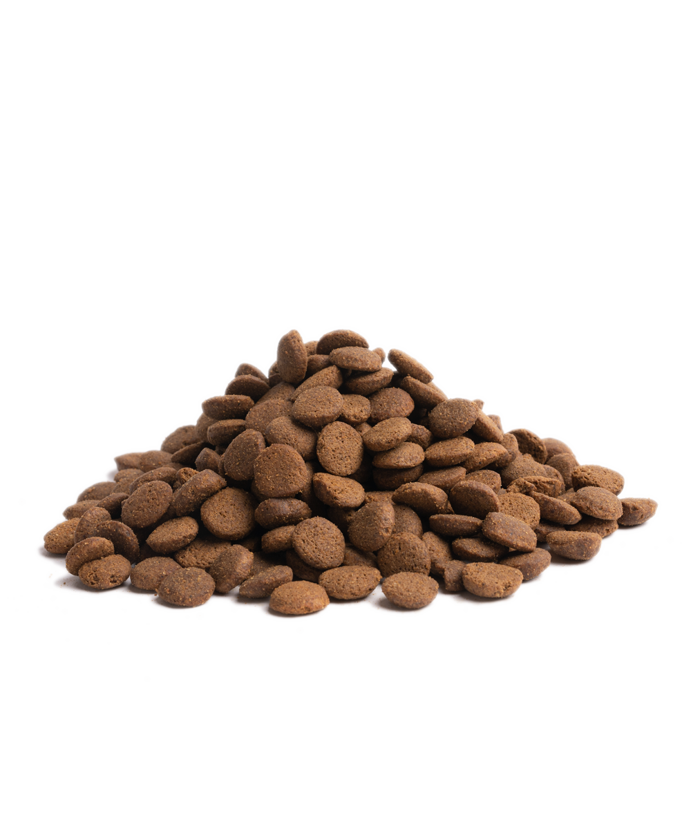 ESSENTIAL HIGHLAND LIVING 10 kg viljaton kuivaruoka