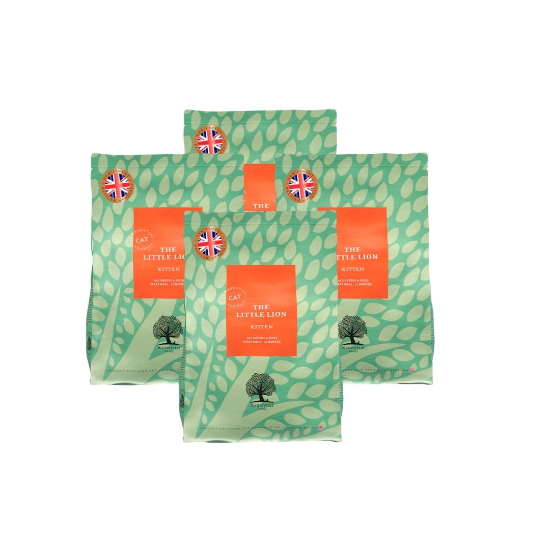 Essential The Little Lion 4 kpl