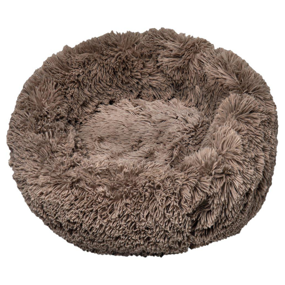 Ozami Doris lemmikinpeti, ruskea