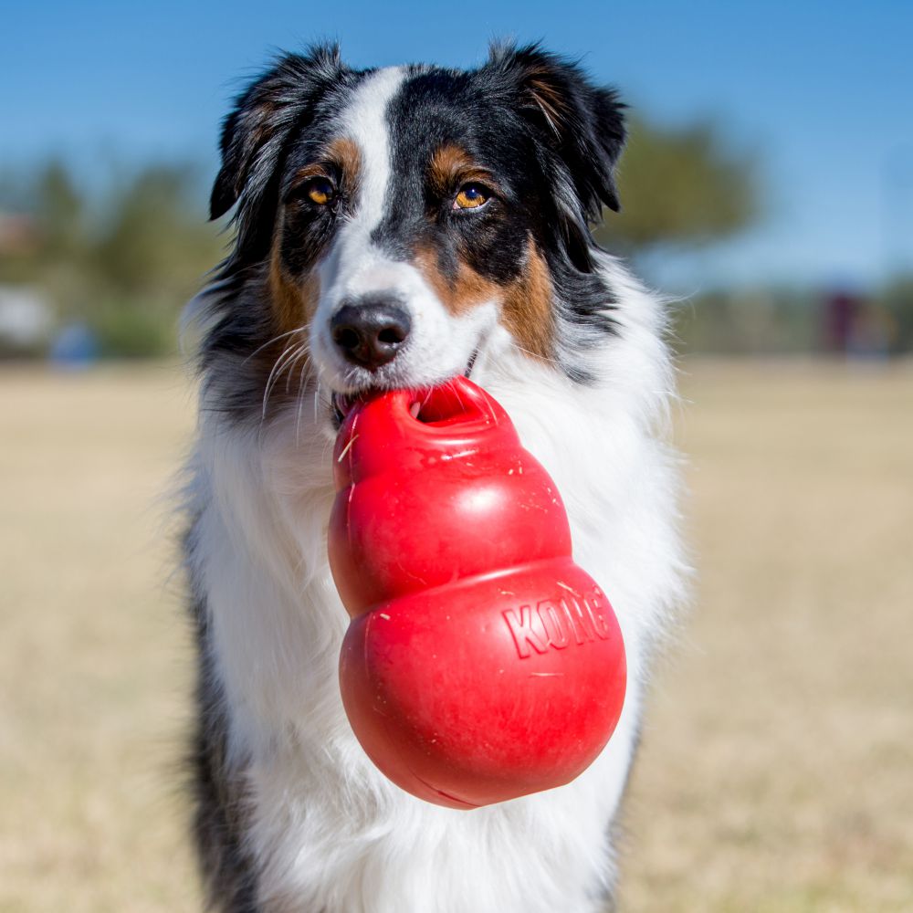 Kong Bounzer lelu