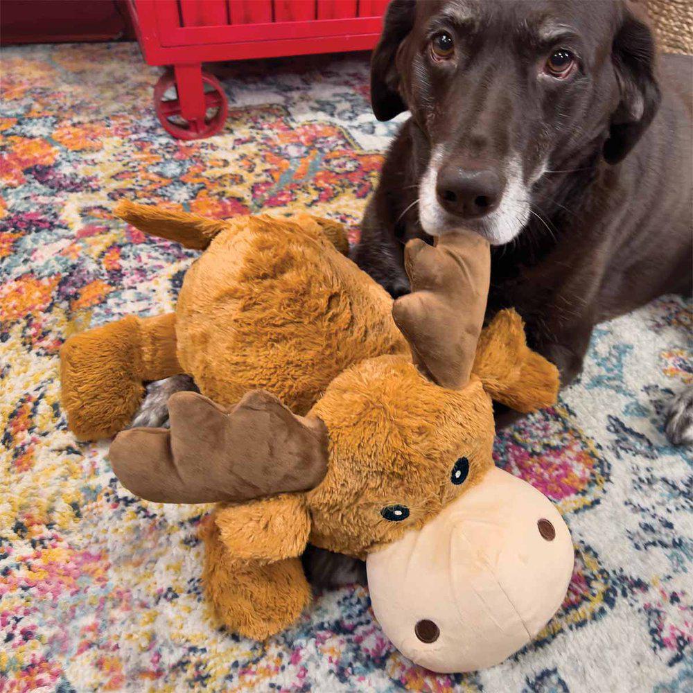 KONG Cozie Marvin Moose XL Jumbo iso koiran pehmolelu vingulla