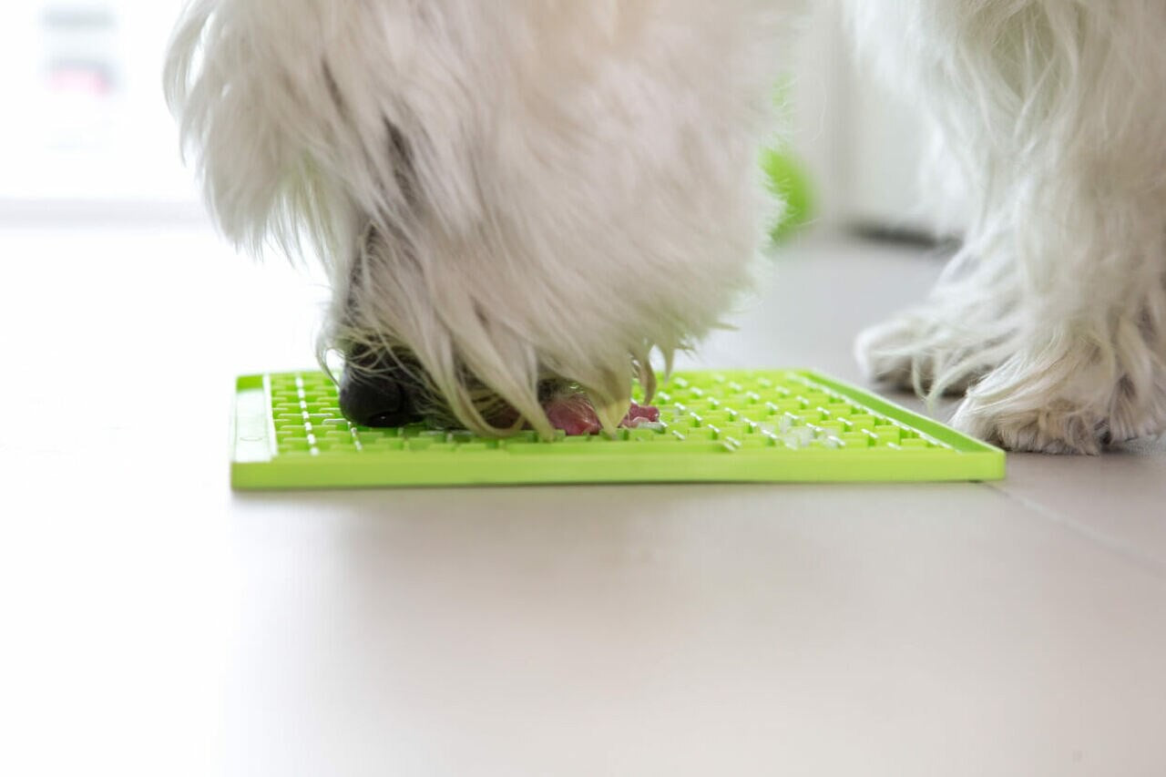 LickiMat Buddy aktivointimatto, vihreä