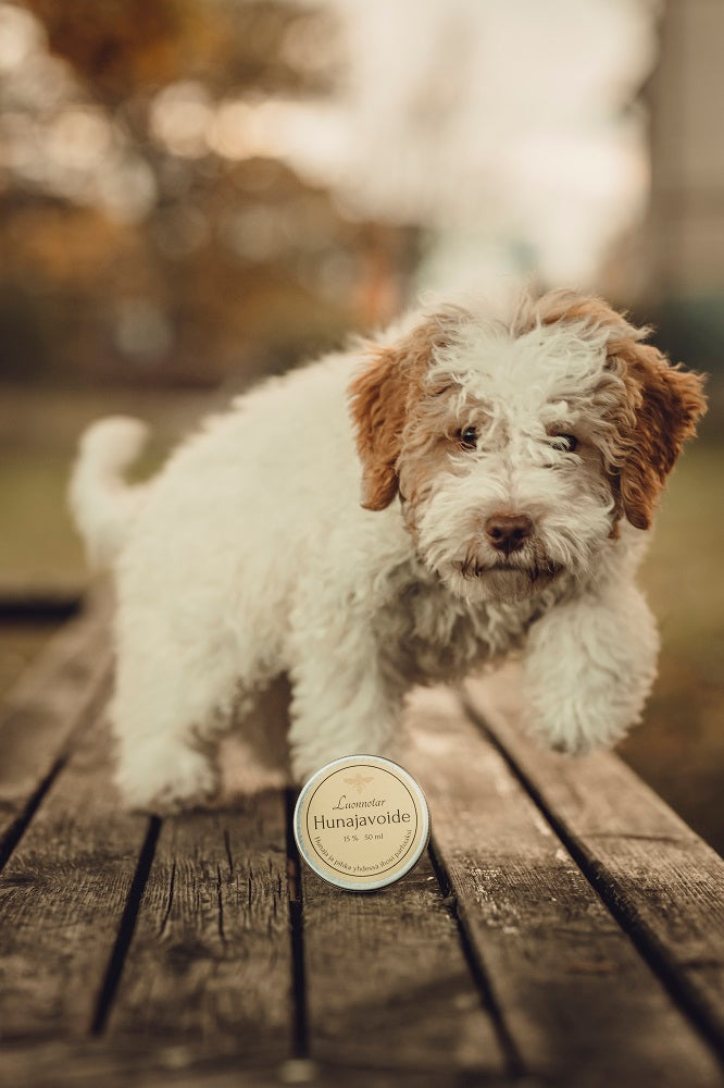 Luonnotar Hunajavoide 50ml