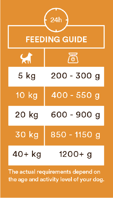 Monster Dog ankka 400 g